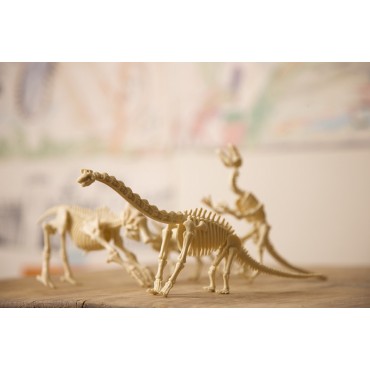 Ανασκαφή Σκελετού Βραχιόσαυρου 