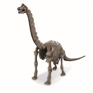 Ανασκαφή Σκελετού Βραχιόσαυρου 